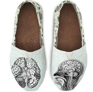 brain anatomy shoes